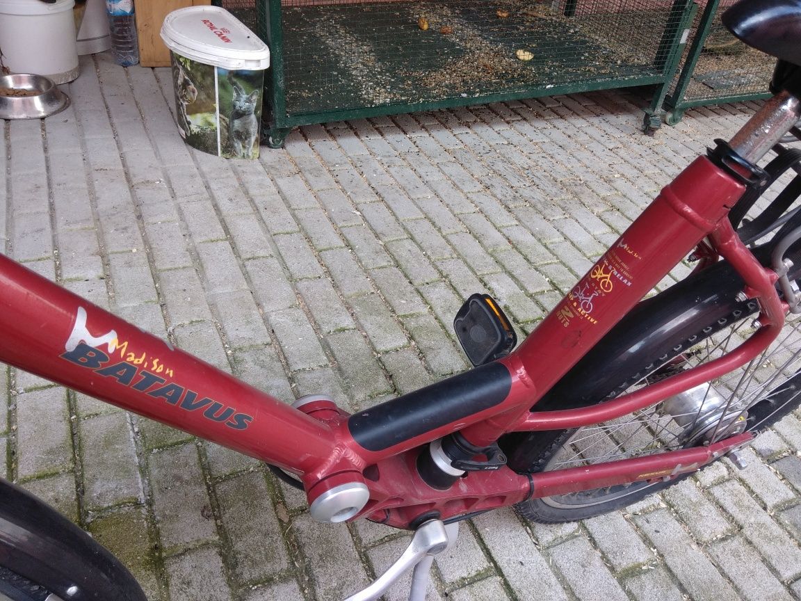 Bicicleta holandesa