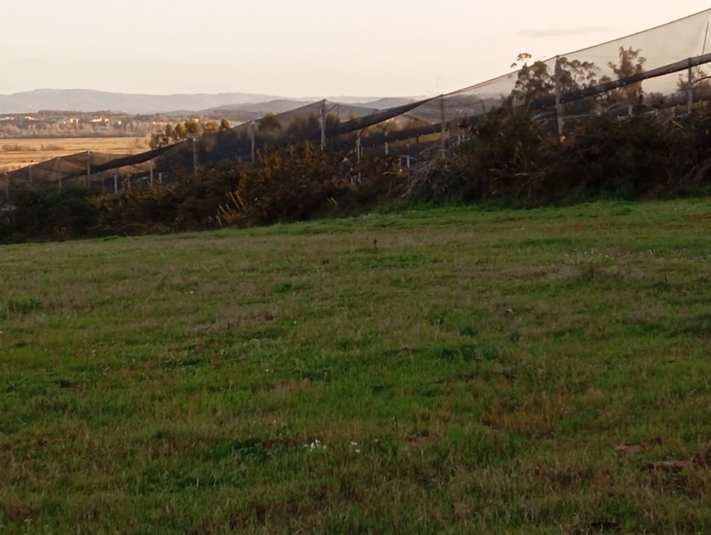 Terreno de construção 5 moradias geminadas