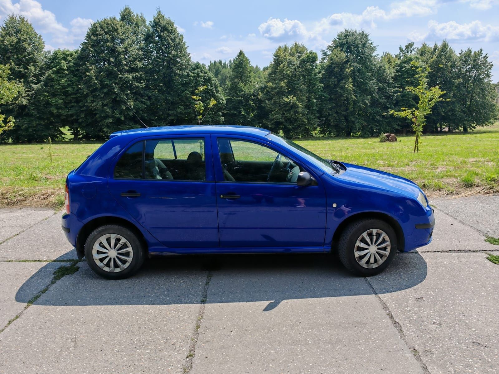 Skoda fabia benzyna