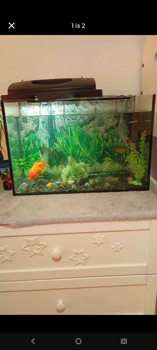 Sprzedam akwarium 72l