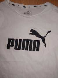 Koszulka t-shirt puma