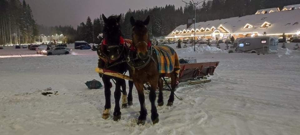 Zapraszamy na kuligi do Istebnej