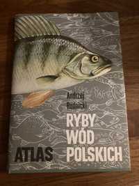 Ryby wód słodkich Andrzej rudnicki atlas