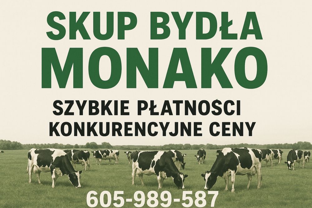 Skup bydła rzeźnego i hodowlanego