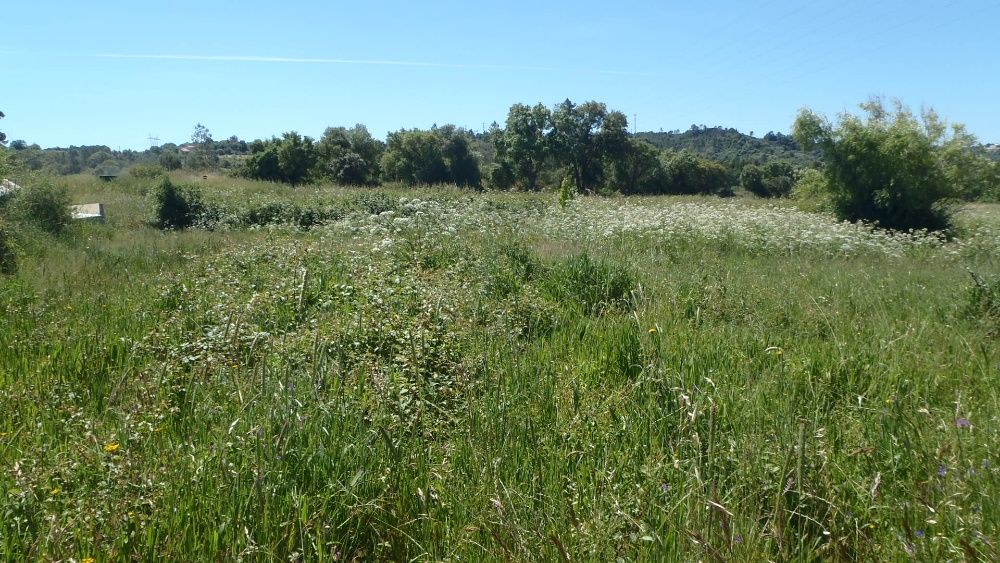 Troca por Autocaravana ou vendo Quintinha Santarém  4500 m c/ casa