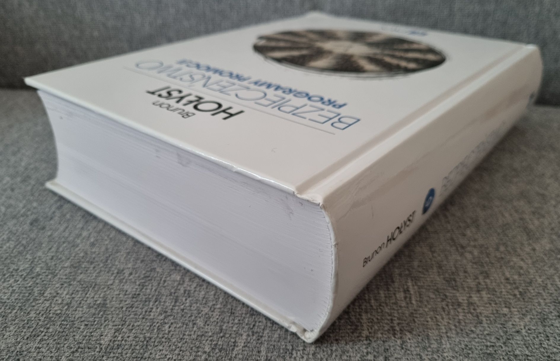 Bezpieczeństwo. Programy promocji. Brunon Hołyst