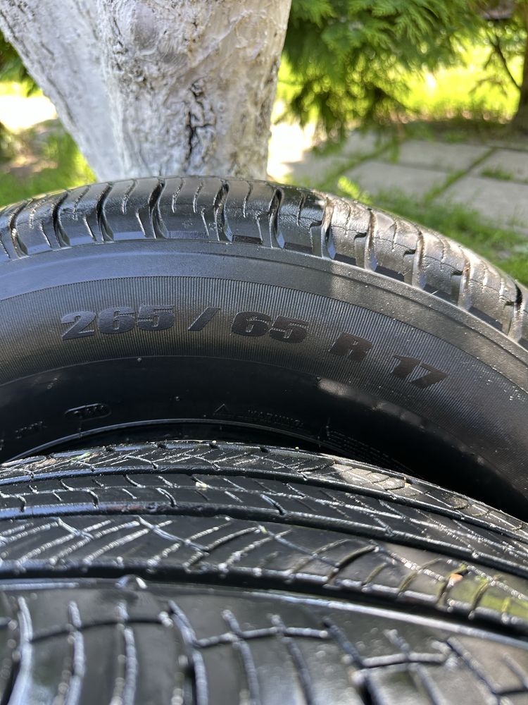 Шини, літо, Michelin , R17