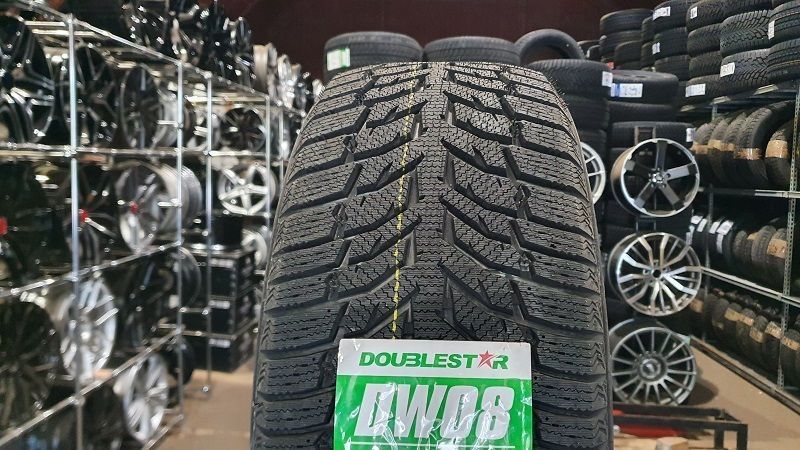 Doublestar WINTERKING DW08 185/65 R14 86T