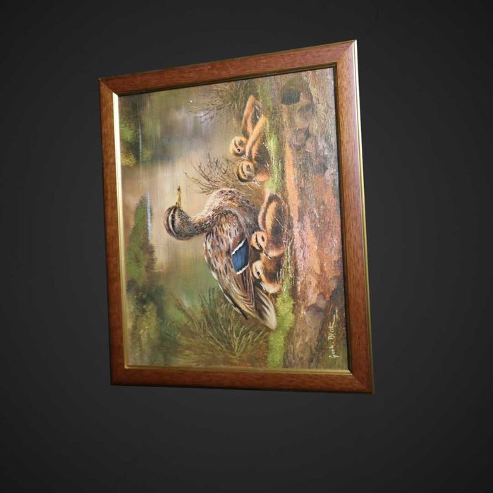 Reprodukcja Kaczki w drewnianej ramie B5/031554