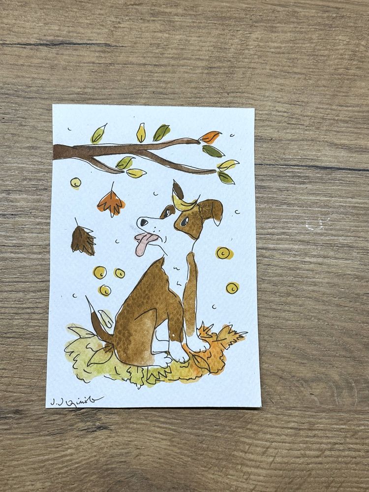 Kartka okolicznościowa pies border collie jesień jesieniara akwarela