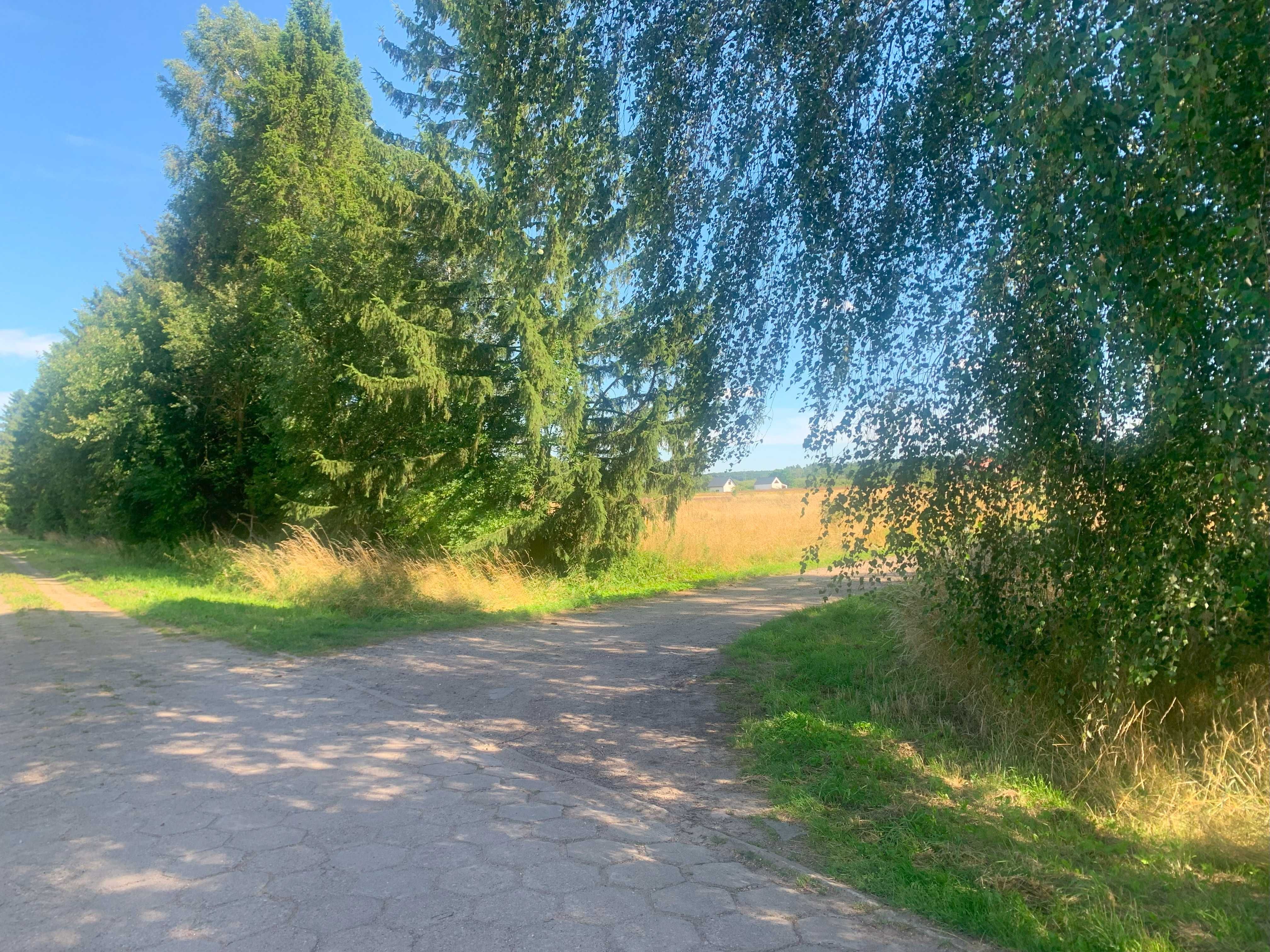 Gryfice, Trzygłowska, Działka rolna - 3842m2