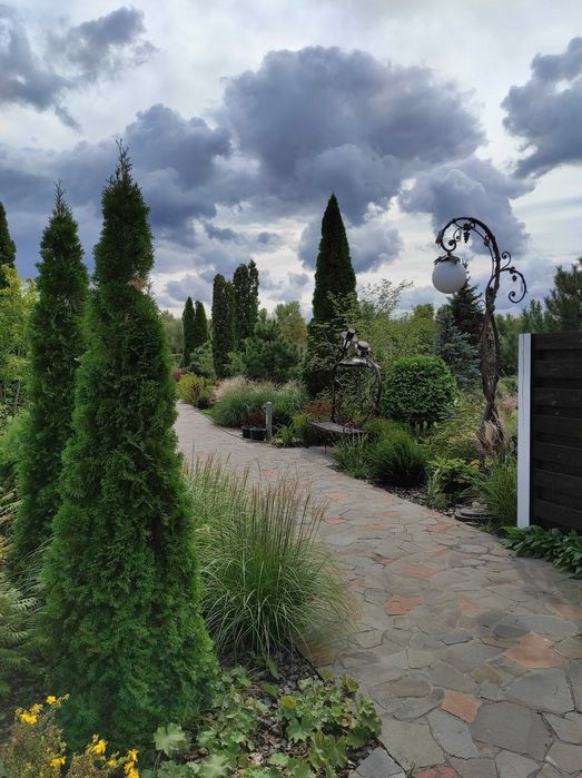 Продажа будинку на ділянці 1,5 га в Новосілках, озеро, Вишгородский