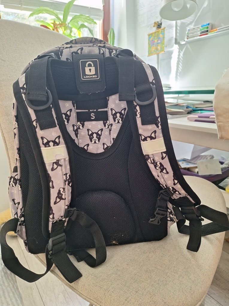 Plecak CoolPack Young Division Gear w psy