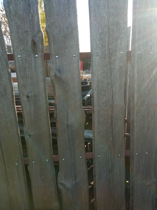 Płot drewniany na profilach stalowych