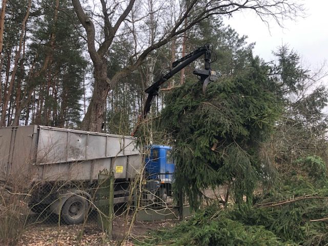 Wywóz gałęzi, odpadów zielonych biodegradowalnych traw tuji, drzew