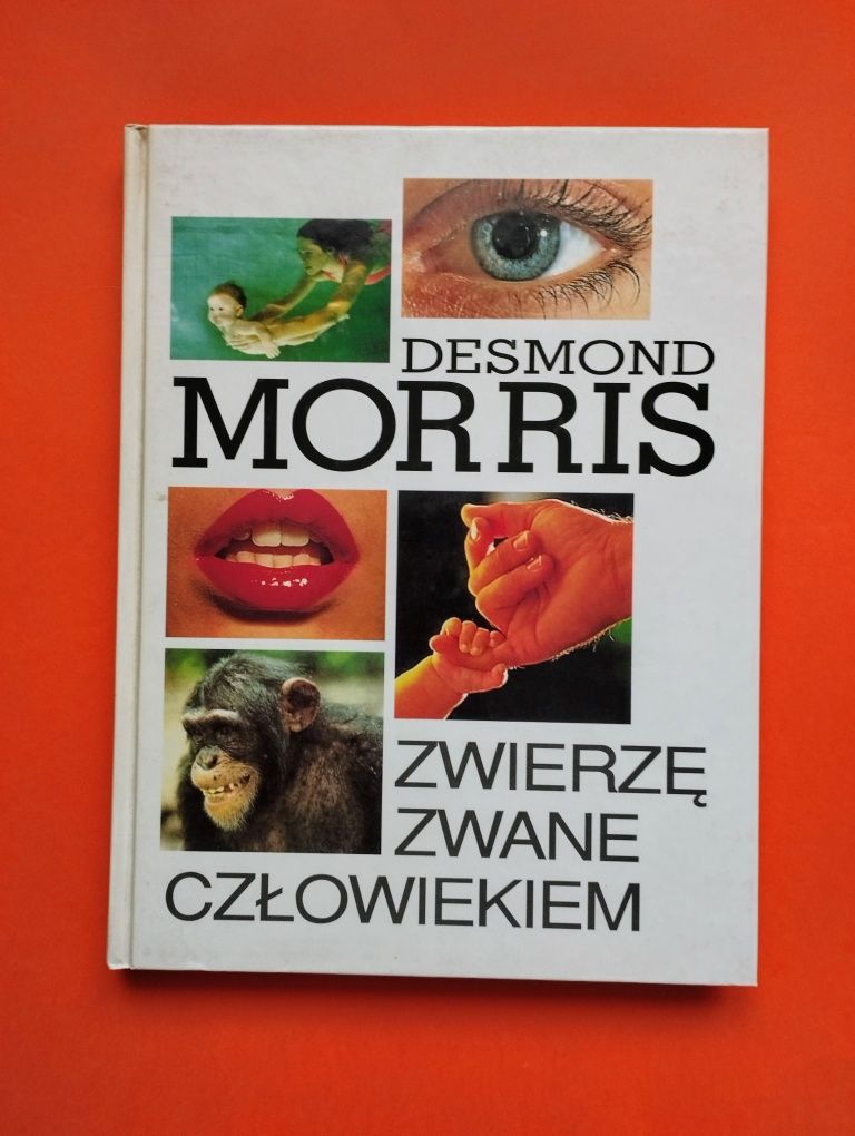 Zwierzę zwane człowiekiem - Desmond Morris