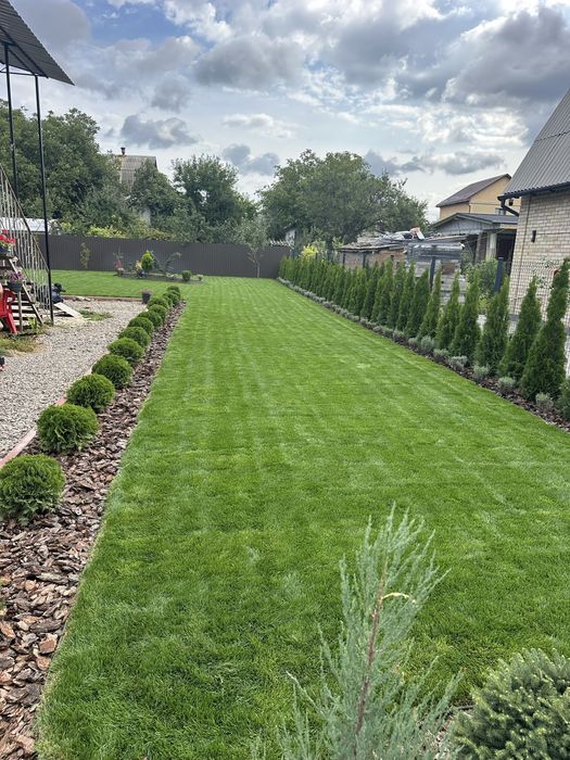 Догляну ваш двір: газон, автополив, рослини