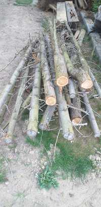 Drewno ZA DARMO tuje i podkłady drewniane