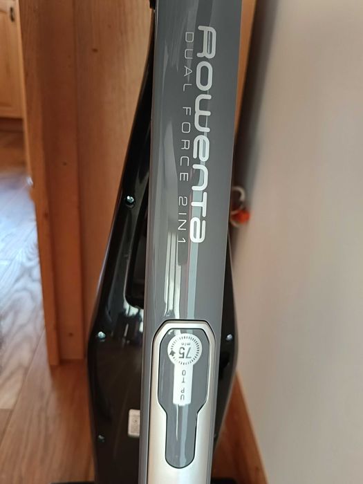 Rowenta dual force 2in1