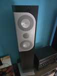 Kolumny Revox Emetric 160