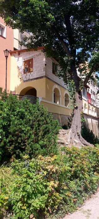 Wyjątkowy lokal usługowy z widokiem na park. Kłodzko rynek.