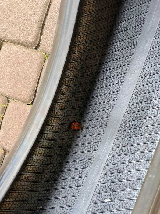 Opony Vredestein Wintrac Pro 225/60/17 103H ROK 2023 2x8mm