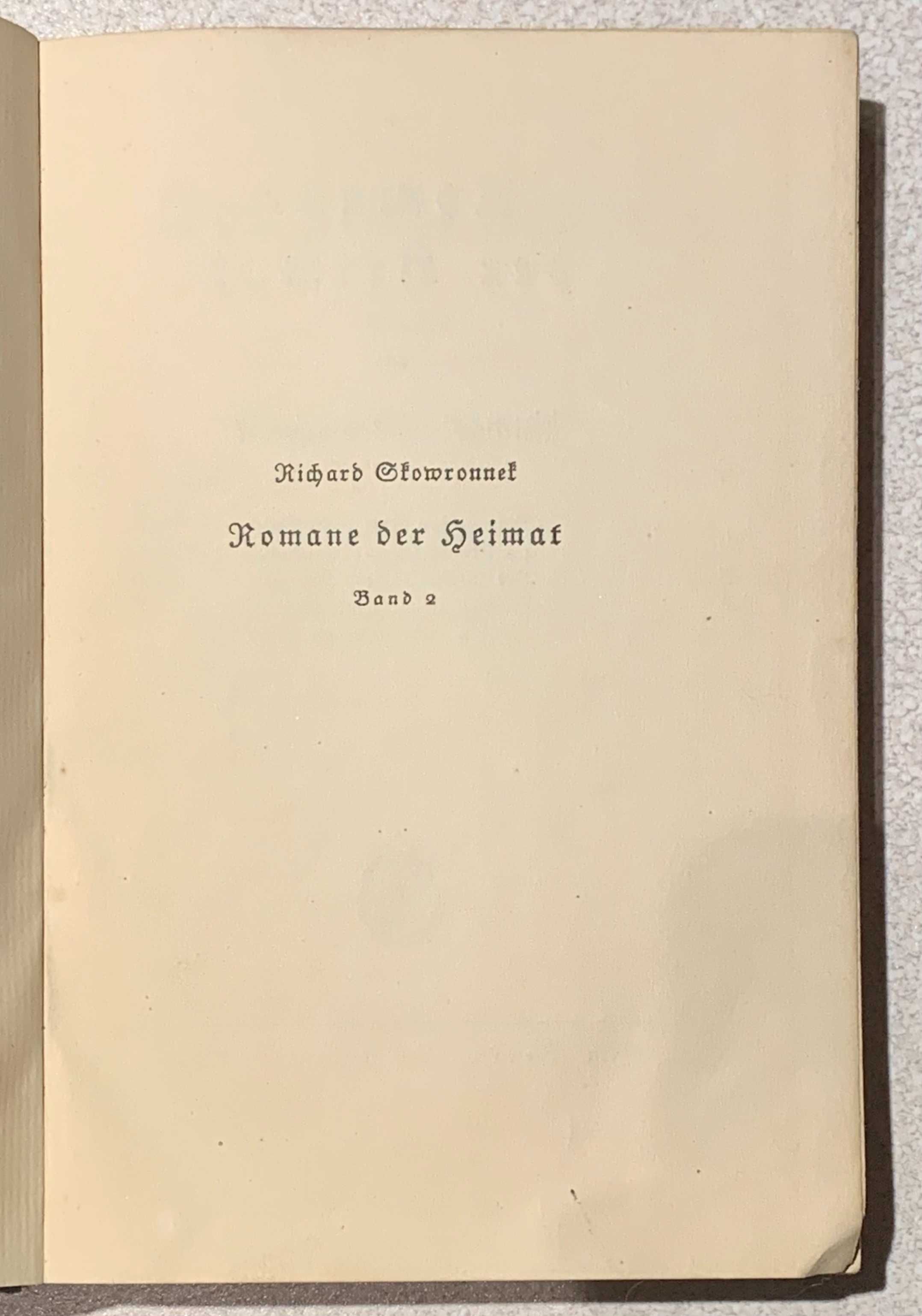 Das große Feuer | Richard Skowronnek | 1915 | Ullstein
