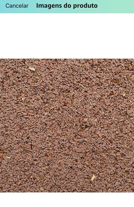 Sementes inteiras psyllium 1kg