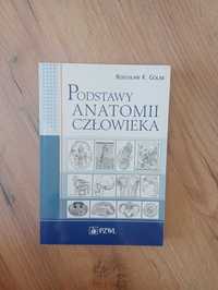 Sprzedam książkę "Podstawy anatomii człowieka" Bogusław K. Gołąb