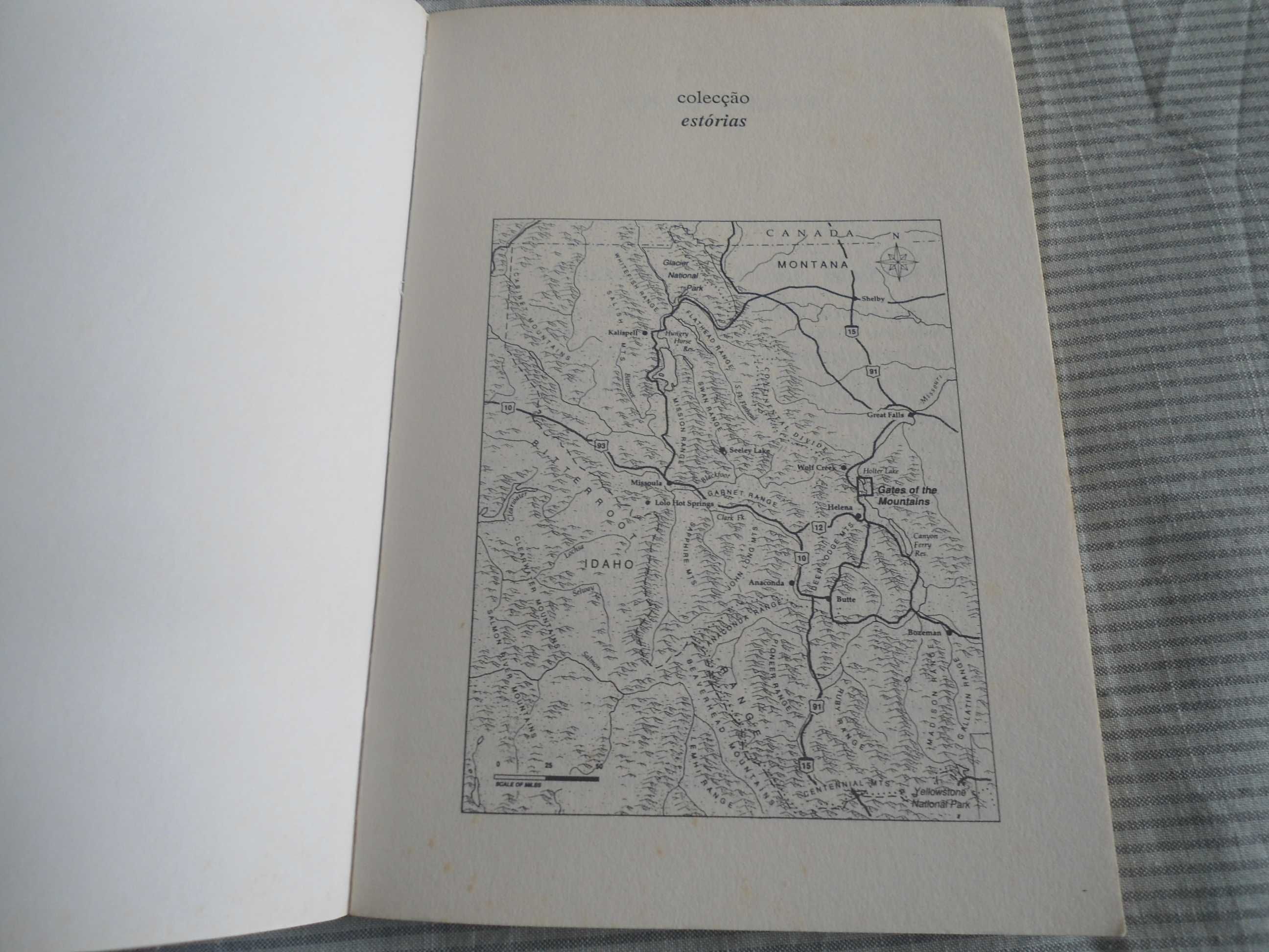 Lenhadores e Chulos e SFEU 1919 por Norman Maclean