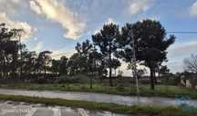 Terreno em Corroios