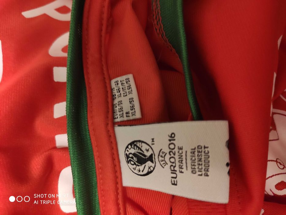 Camisola seleção portuguesa Euro2016 (ano que fomos campeões Europeus)