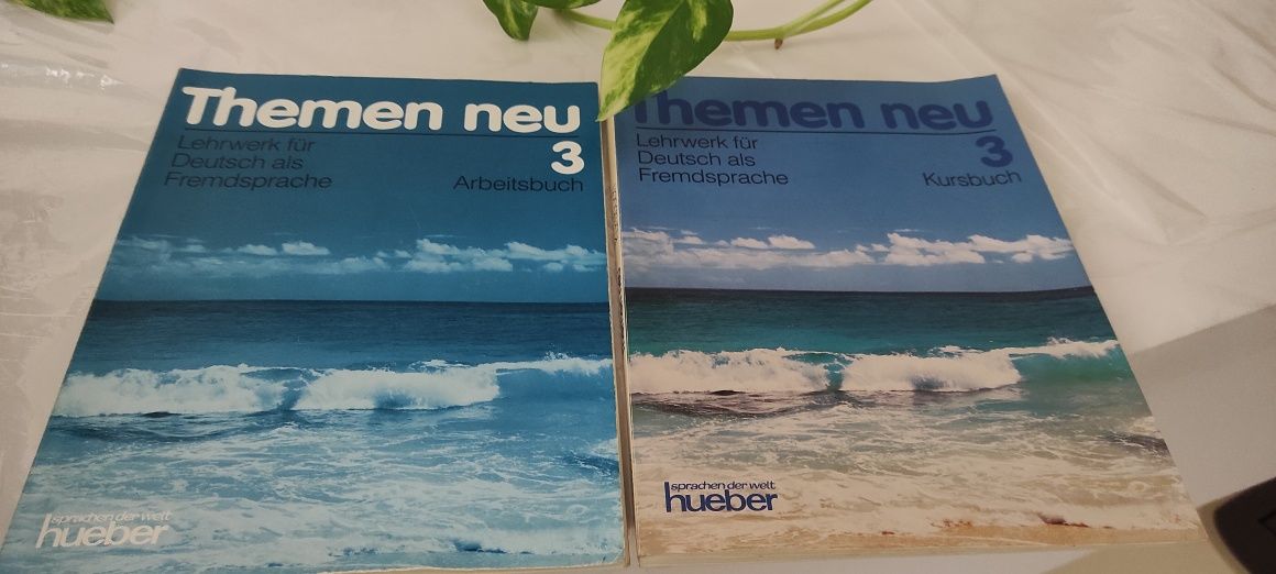 Themen neu 3 Kursbuch i Arbeitsbuch