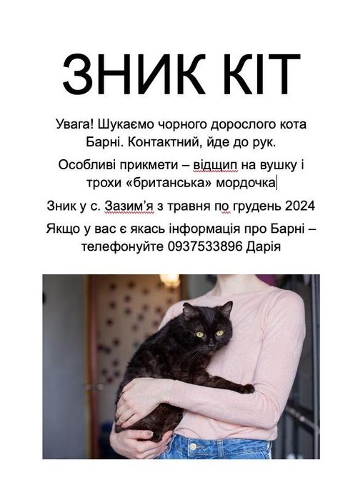 Зник кіт. Терміново шукаю чорного котика Барні