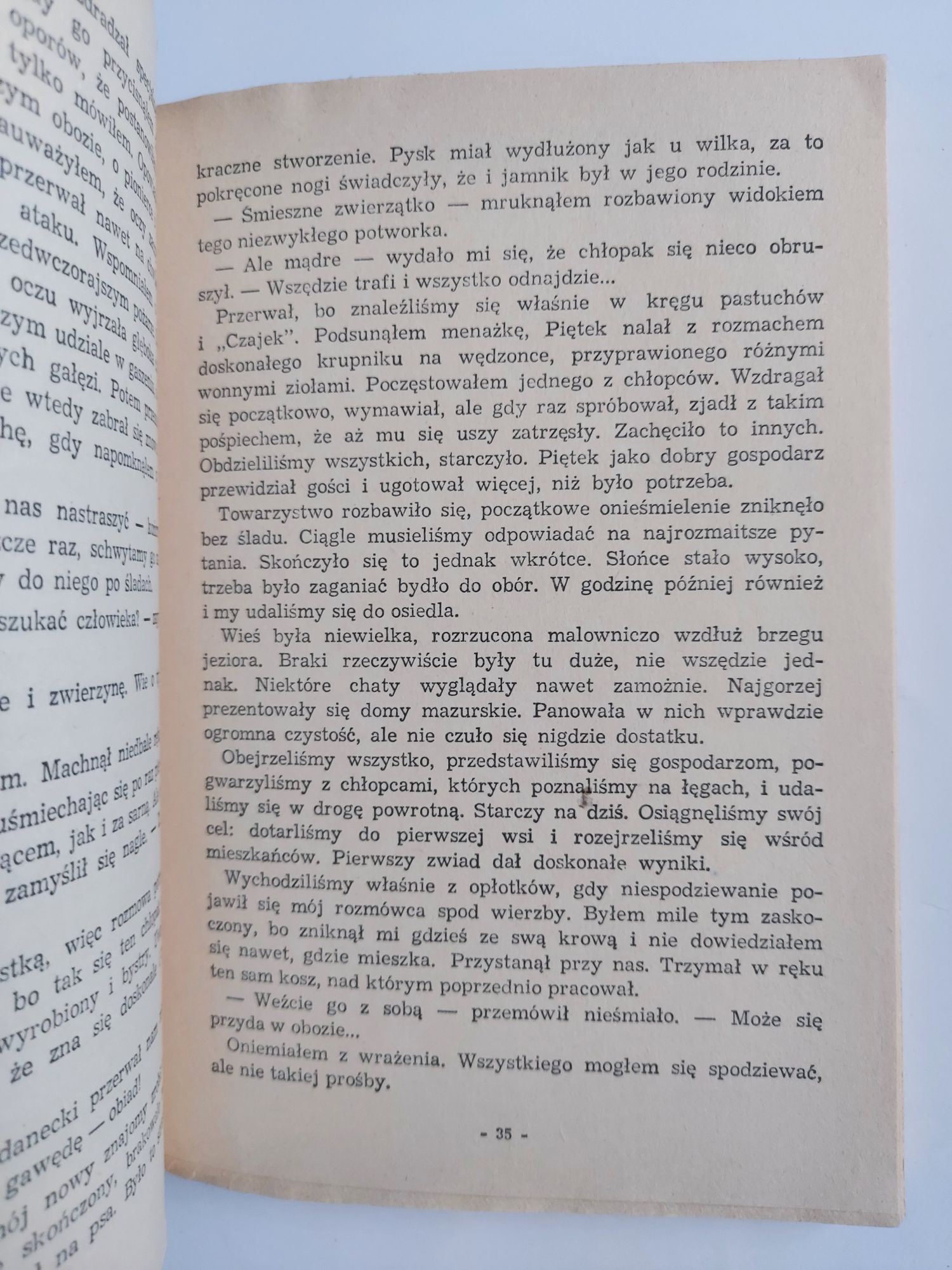 Plama na złotej puszczy - Bolesław Mrówczyński