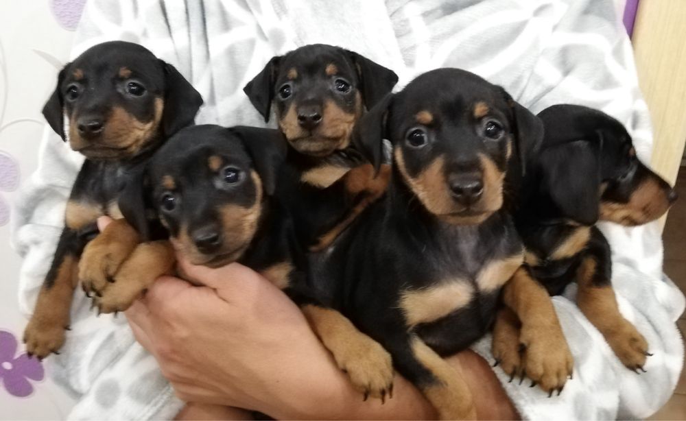 Малюк для тебе