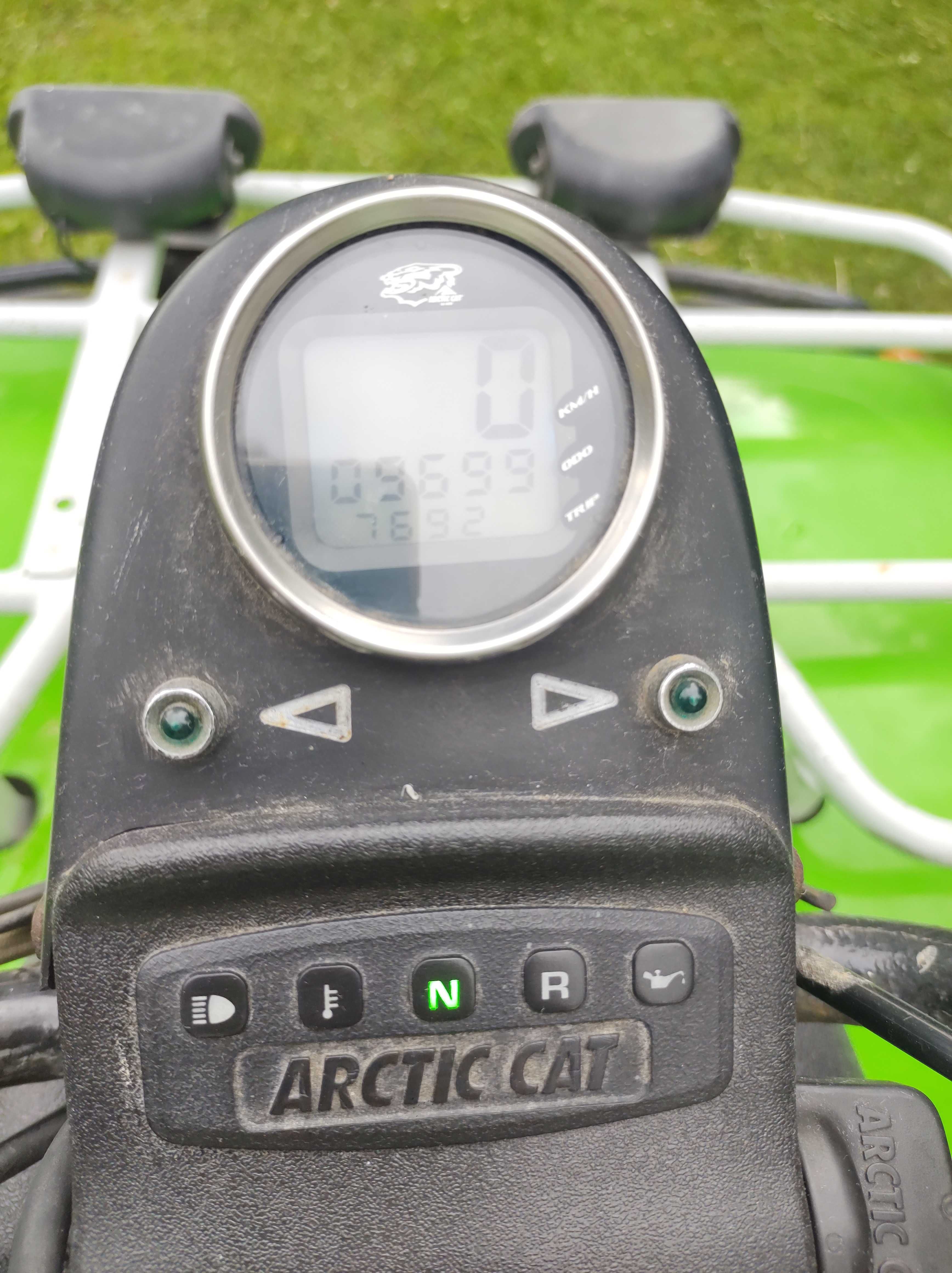 Arctic  cat   250