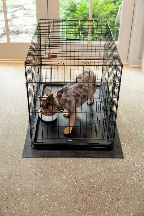 Клітка вольер переноска домик место клетка для собак кошек птиц.‼️
