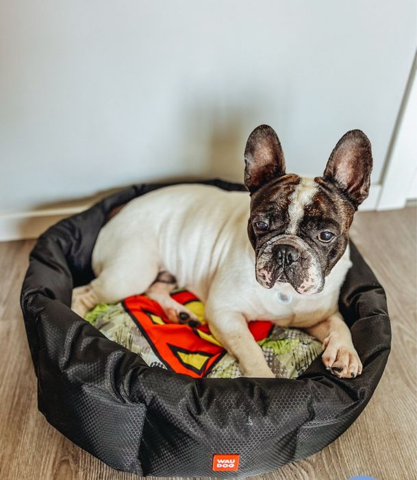 Лежанка для собак Waudog