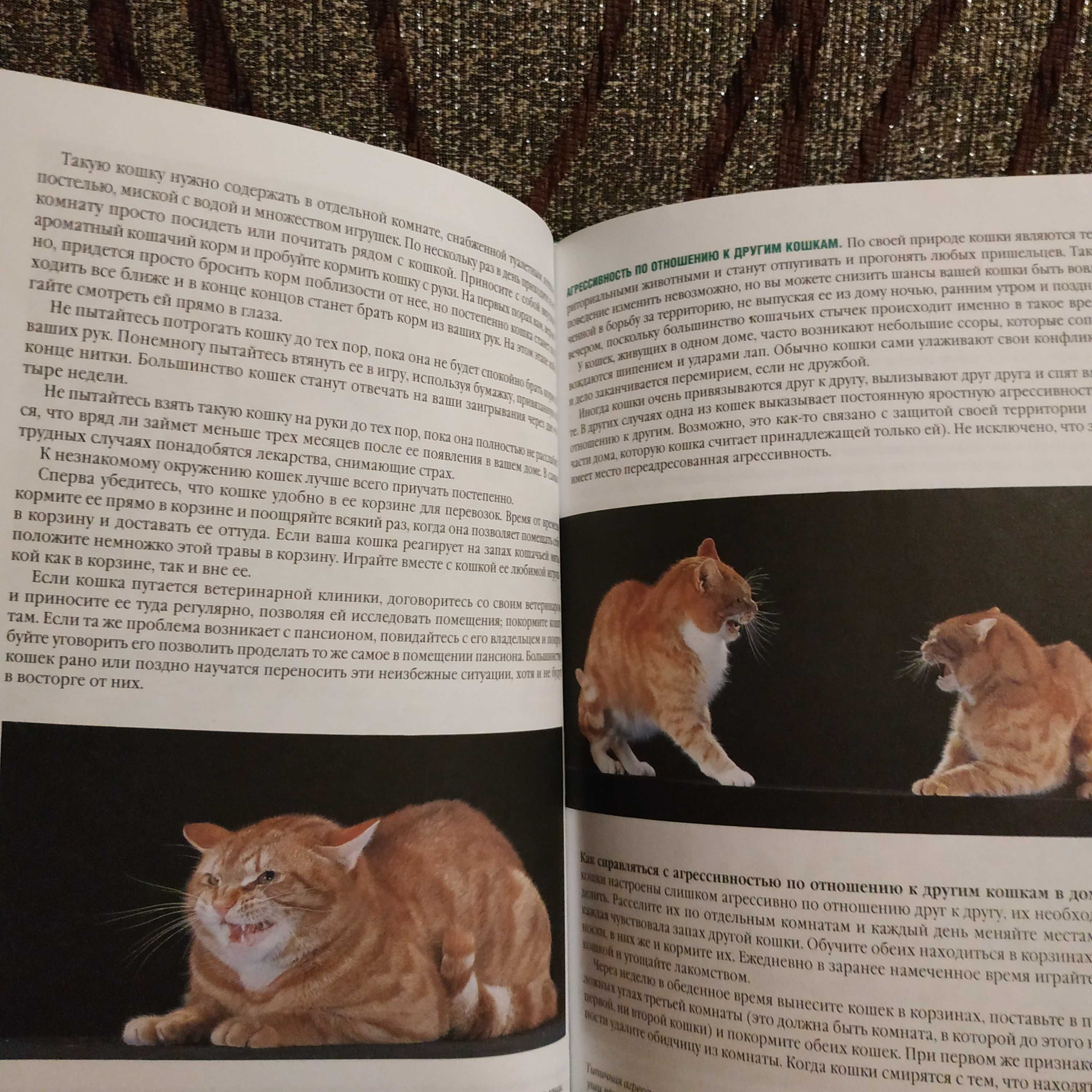 Книга Ваша кошка Полное практическое руководство. Выбор Уход Питание.