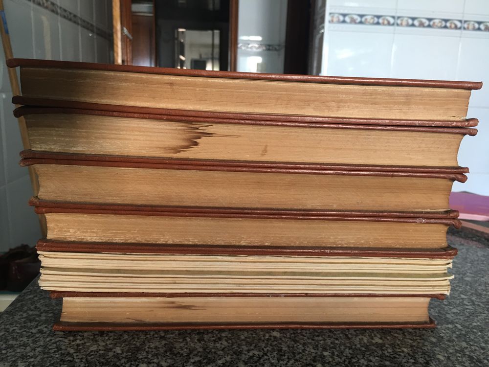 Conjunto Biblías e edições religiosas de coleção