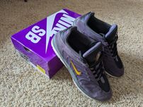 Nike sb vertebrae rozmiar 43