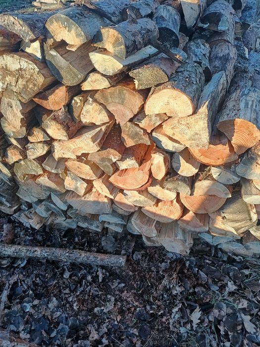 Drewno opałowe sosnowe