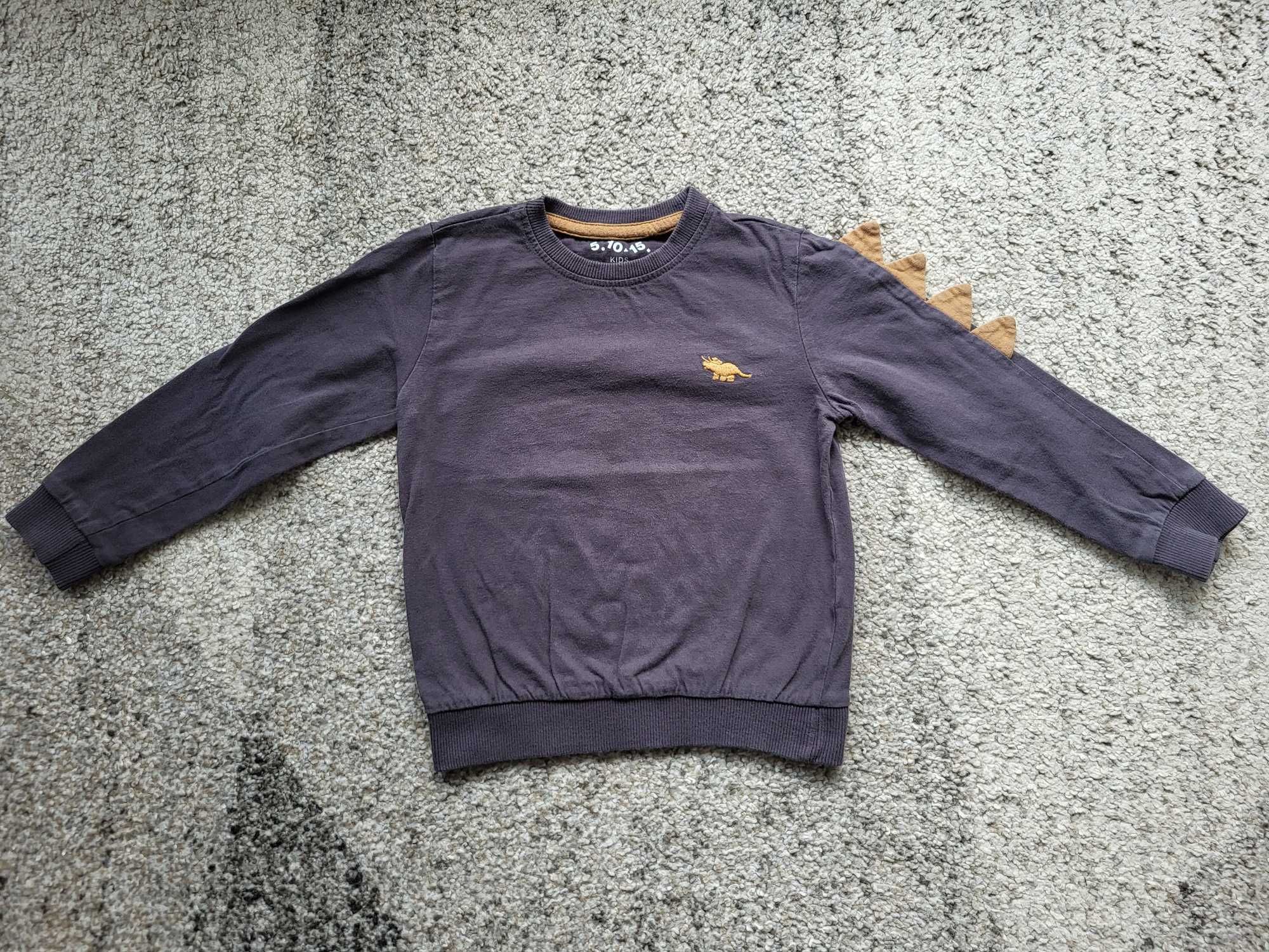 Koszulka Bluza dinozaur roz. 98-104