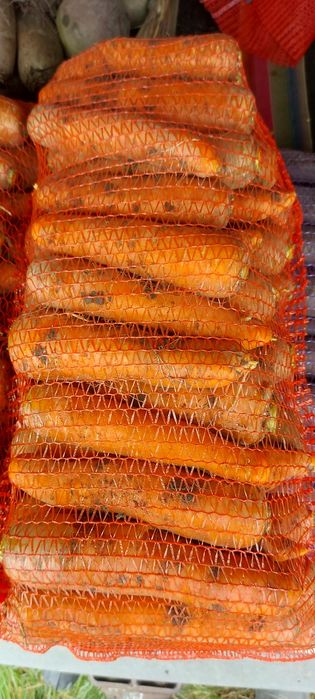 Продам моркву буряк цибулю картоплю капусту