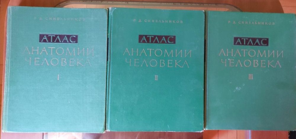 Sinelnikov - 2 tom - Atlas anatomii czlowieka