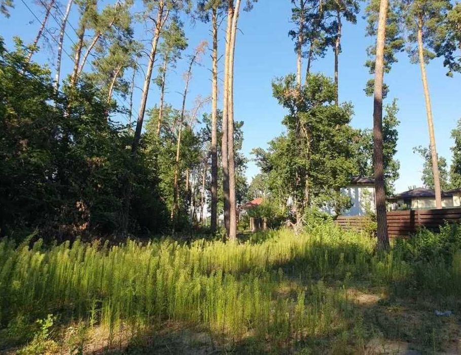 Земельна ділянка 6,5 соток під будівництво, Лісова Буча