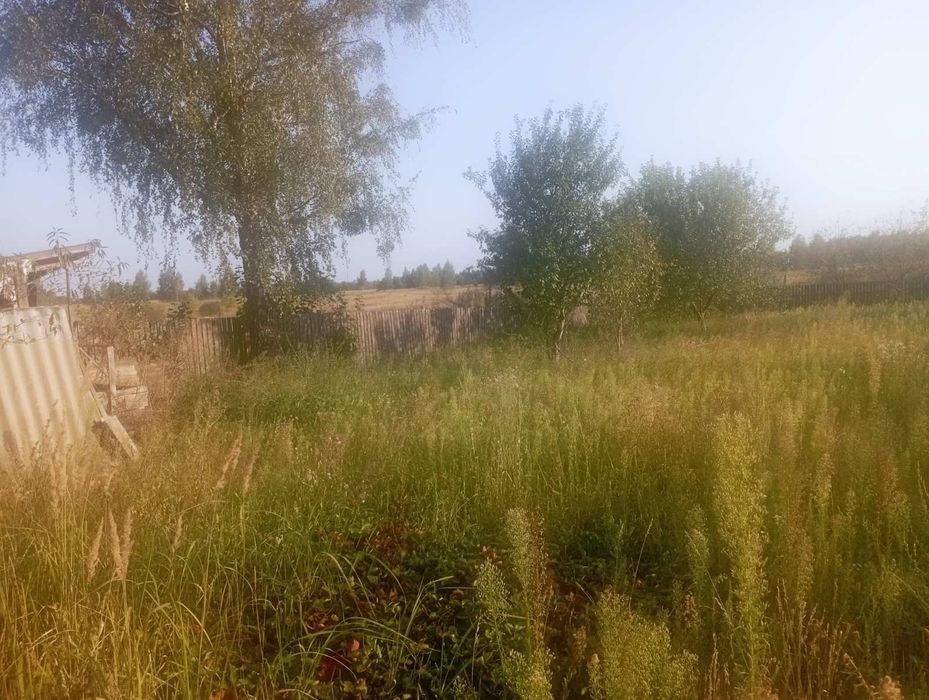 Продаю земельну ділянку від власника