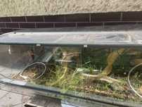 Terrarium 120x40x40 3 sztuki dostępne