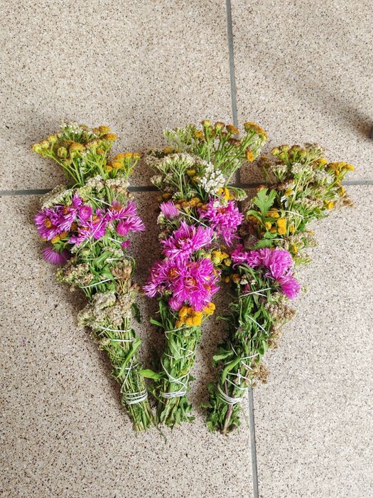 Kadzidło słowiańskie XL Oczyszczanie - aster, wrotycz, krwawnik